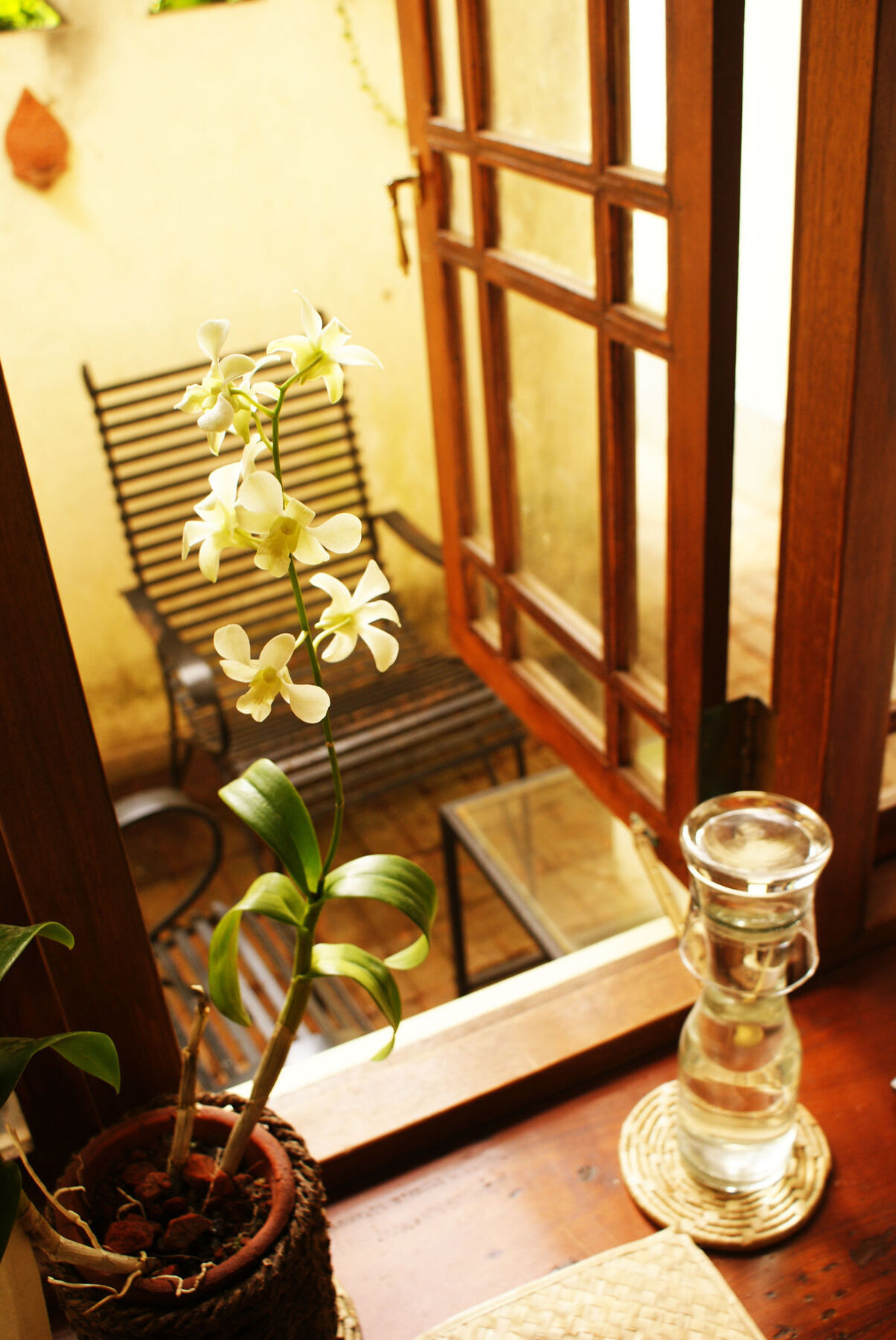 The Havelock Place Bungalow Colombo Exterior foto